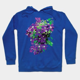 Clematis - Cascade of Clematis Hoodie